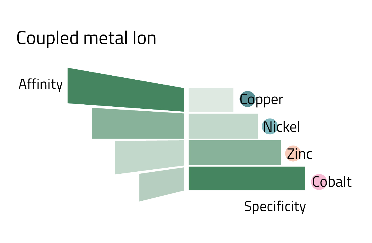 Metal ions compared in their performance for His-tag purifications